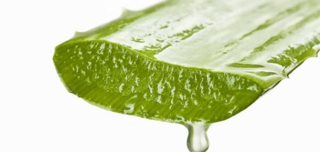 علاج حفر الوجه بالصبار موضوع