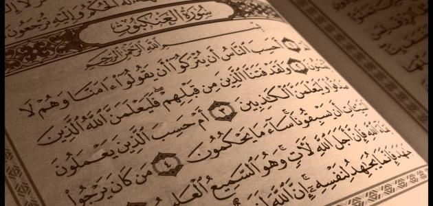 سبب تسمية سورة العنكبوت موضوع