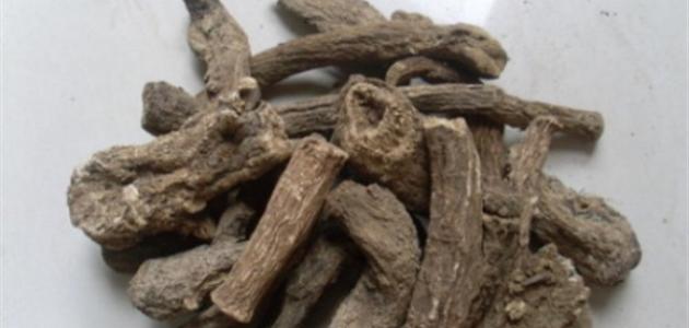 فوائد القسط الهندي الأسود موضوع