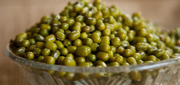 كيفية عمل شوربة الماش موضوع