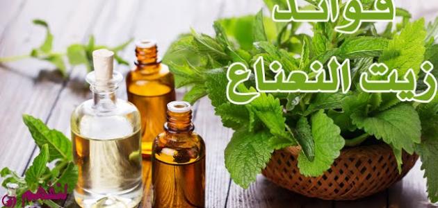 فوائد زيت النعناع للشعر موضوع