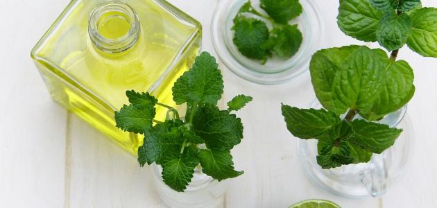 فوائد زيت النعناع للبشرة موضوع