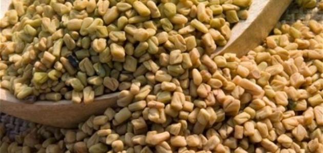 فوائد الحلبة في زيادة الوزن موضوع