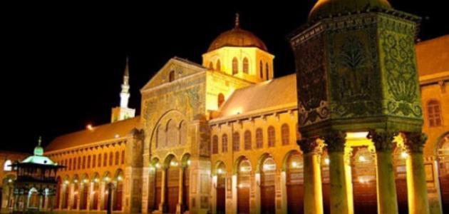 عدد خلفاء الدولة الأموية موضوع